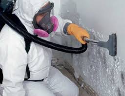 Best Airborne Mold Testing  in Gonzales, LA